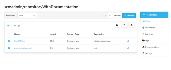 Configuration file inside the Repository