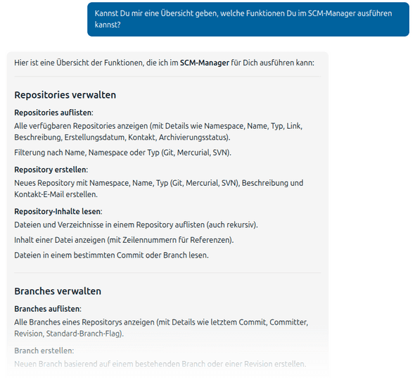 Screenshot einer KI Antwort auf die Frage, welche Funktionen zur Verfügung stehen