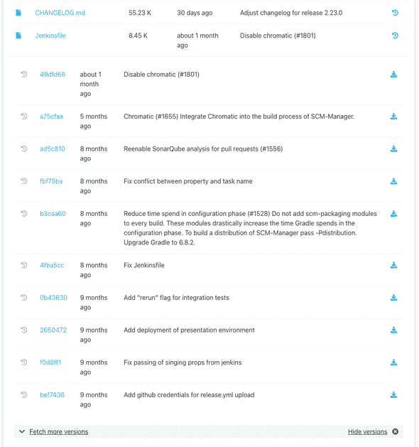 File tree with open version overview